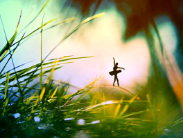 秋思短信轰炸平台