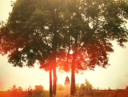 电话自动追呼系统