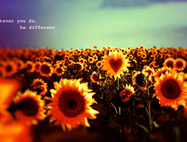 免费轰炸软件版